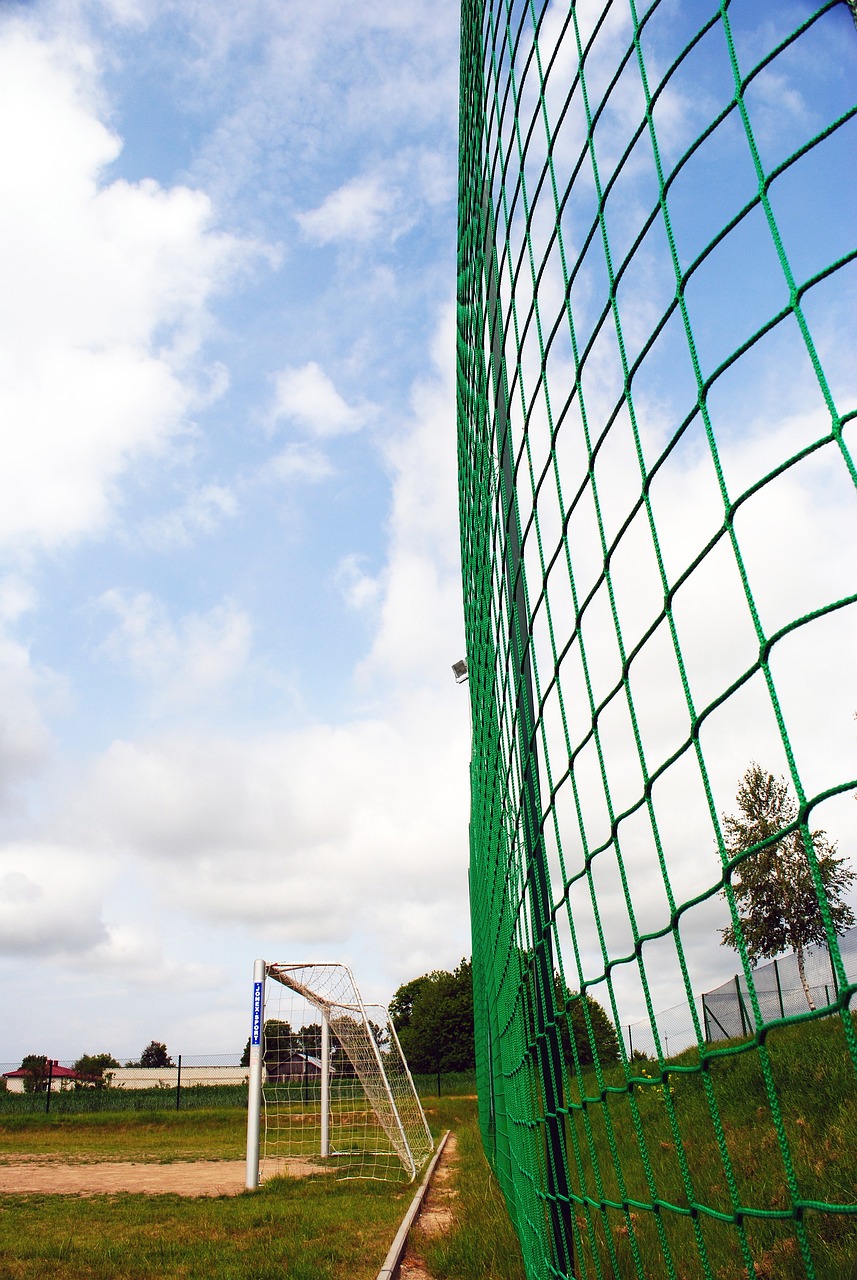 张帅与搭档 张帅与搭档