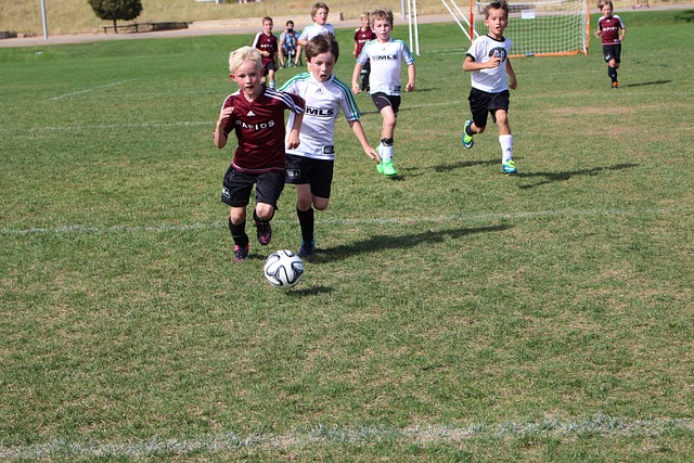 一起当勇士 一起当勇士