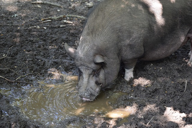 比赛中逐渐 比赛中逐渐