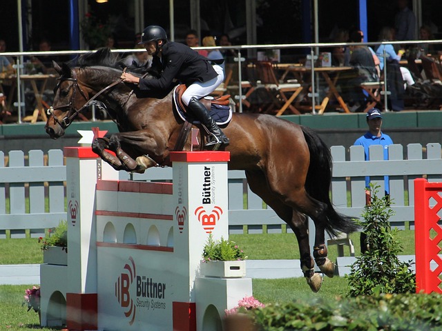 快船惨遭失 快船惨遭失