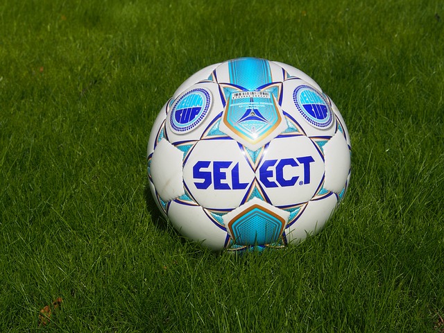 该校体育特 该校体育特